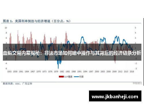 血蓟交易内幕揭秘：非法市场如何暗中操作与其背后的经济链条分析